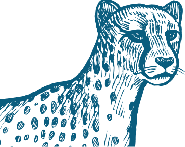 Bgt Blue Cheetah Bgt Blue Cheetah