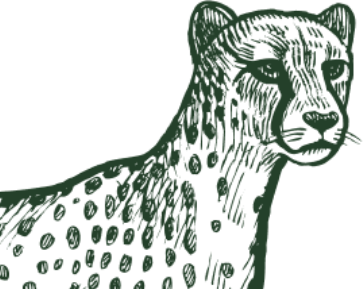 Bg Cheetah Face Bg Cheetah Face