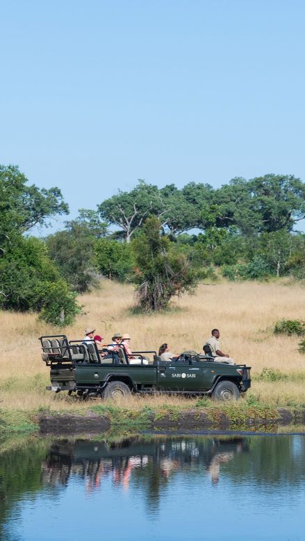 Ss Collection Sabi Sabi Gallery Safari Experiences Safari Drive
