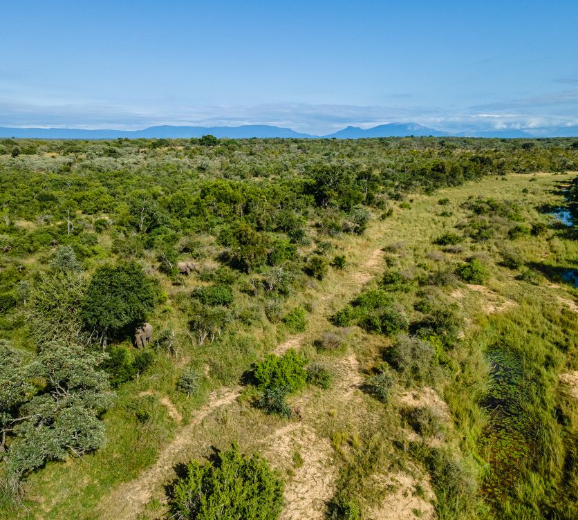 Sandringham Web About Us Reserve Lodge Landscape Elephants