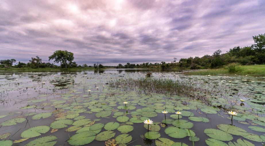Ss Collection Sandringham Gallery Safari Experience Waterscape